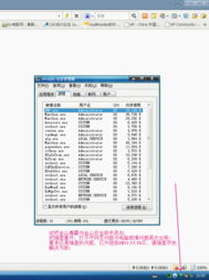 瑞星软件升级后联网异常问题深度解析与解决方案